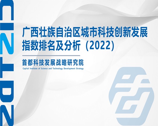 久肏逼逼【成果发布】广西壮族自治区城市科技创新发展指数排名及分析（2022）